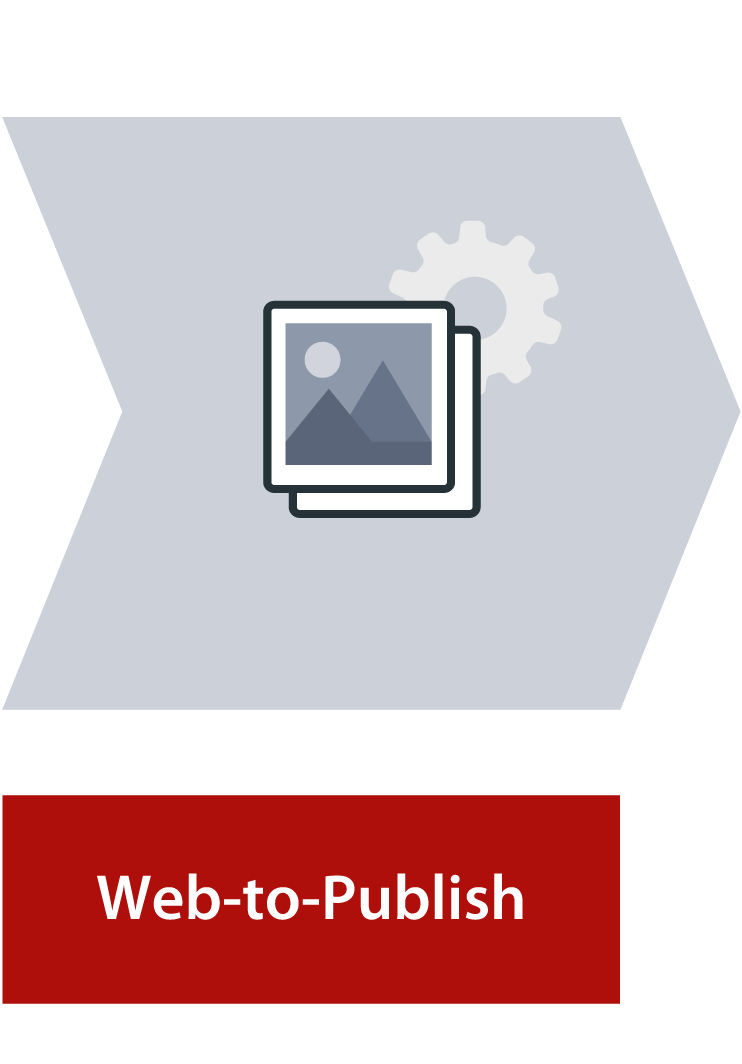 Wertekette Illustration Web-to-Publish